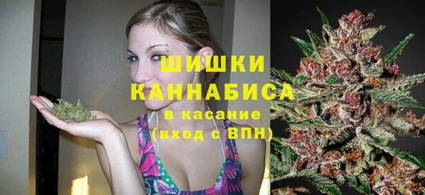 шишки Нягань