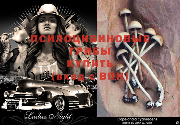 бутик Няндома